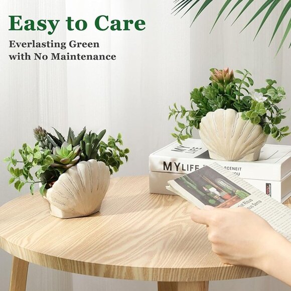 NEW Set of 2, Assorted Faux Succulents Artificial Plants with Sea Shell Pots - Picture 5 of 8